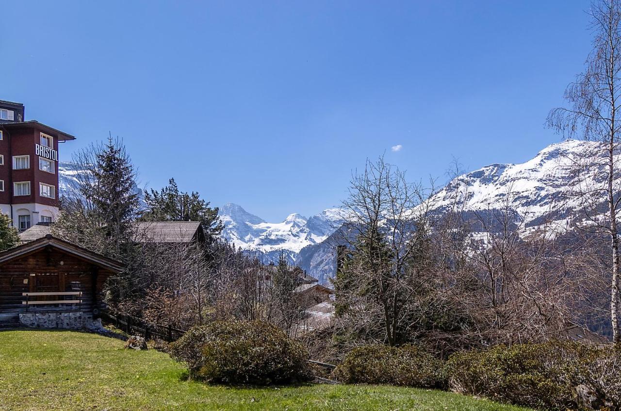 Chalet Steingaertli 1 Wengen Luaran gambar