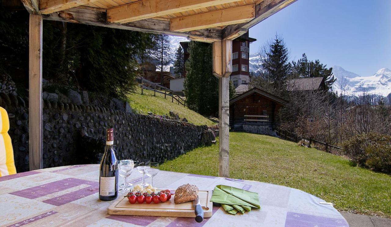 Chalet Steingaertli 1 Wengen Luaran gambar